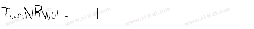 TimesNRW01 字体转换